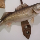 Rod and Real Fish Taxidermy - Taxidermists