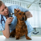 Fountain Creek Veterinary Clinic LLC