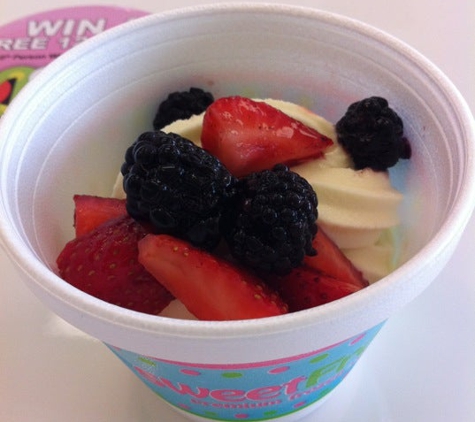 sweetFrog - Spring Hill, FL