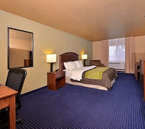 Comfort Inn - Albert Lea, MN