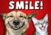 Pet Medical Center of Katy - Veterinarians