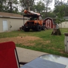 Andre Tree Service / Stump Grinding gallery