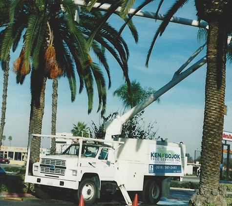 Ken Bojok Tree Service