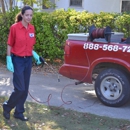 All Star Pest Control - Pest Control Services