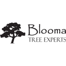 Blooma Tree Experts Inc. - Tree Service