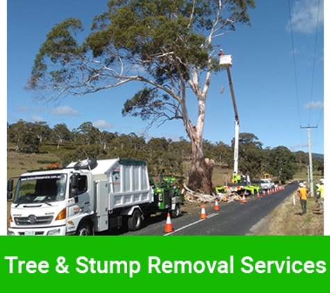 Horizon Tree Service - Brighton, TAS. Tree & Stump Removal Services