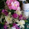 All Occasions Flowers gallery