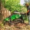 Avondale Tree Service Masters gallery