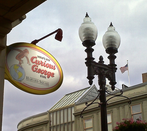 World's Only Curious George Store - Cambridge, MA