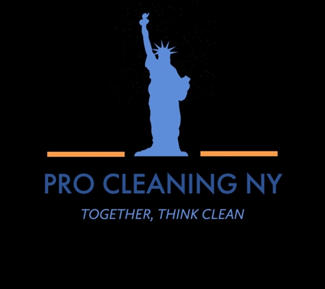 Pro Cleaning NY