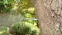 MosquitoNix Kansas City, MO - Pest Control Services