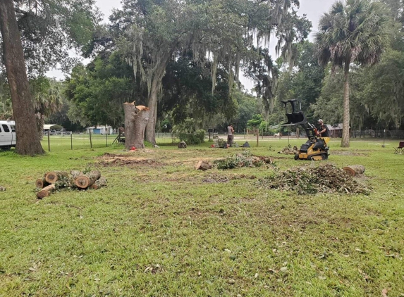 The Perfect Cut Tree Service LLC - Middleburg, FL