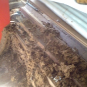 Gallery Image Number 2