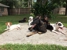 Fur Paws LLC - Pet Services