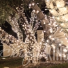 Christmas King Light Install Pros Anaheim gallery