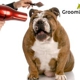 Groomingdales Pet Salon