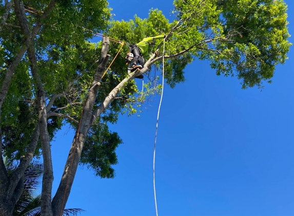 Affordable Tree Service Inc. - Tree Service Miami-Dade & Broward - Pembroke Pines, FL