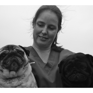 Ulverstone Veterinary Clinic - Ulverstone, TAS