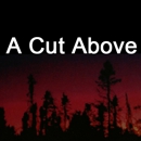 A Cut Above Tree Service - Tree Service