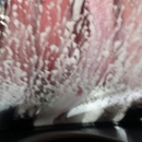 Algonquin Auto Wash & Detail - Car Wash