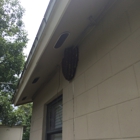 Best Bee Removal In Florida