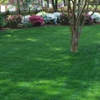 Serenity Lawn Care Service Boise Idaho gallery
