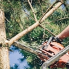 E and R Tree Services gallery