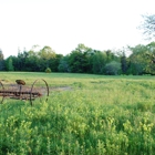 Ellsworth Hummingbird Hide Away Cottage