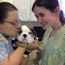 Whole Pet Veterinary Clinic - Veterinary Clinics & Hospitals