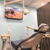 TexSmiles Dental gallery