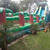 Ponchis Ponchis Party Rentals gallery