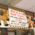 Ocean's High School