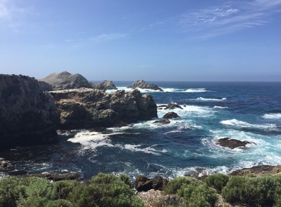 Point Lobos State Natural RSRV - Carmel, CA. Spectacular views!