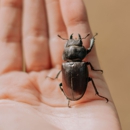 Clearwater Guaranteed Wildlife Removal - Pest Control Equipment & Supplies