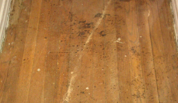 Caesar's Wood Floors - Astoria, NY