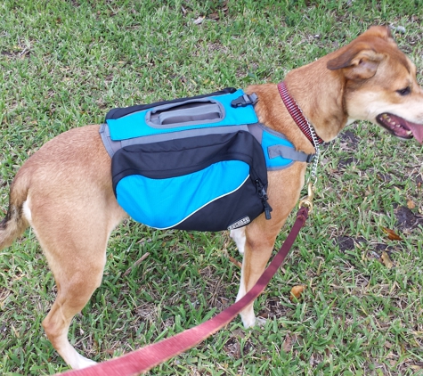 Depaul K9 Academy - Melbourne, FL