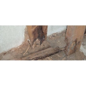 Gallery Image Number 6