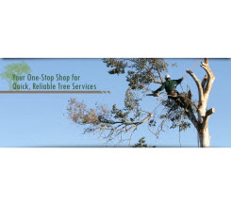 Steve's Tree Service - Byfield, MA