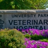 University Park Veterinary gallery