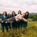 Peachtree Dental - Dentists
