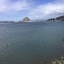 Bayside Cafe