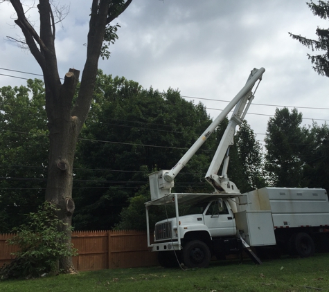 Christmas City Tree & Land Care - Bethlehem, PA