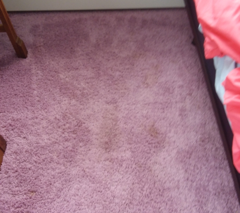 McMickles Carpet and Upholstery Cleaning - Wellington, OH