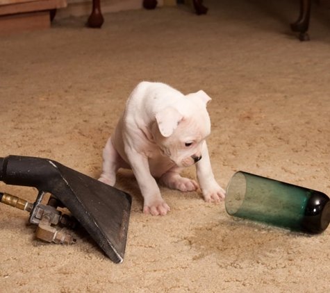 Sam's Carpet Steam Cleaners - Edmonton, QLD