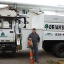 Brian's Tree Service - Tree Service