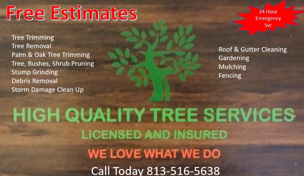High Quality Tree Service - Tampa, FL
