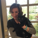Uniquely Cats Veterinary Center - Veterinary Specialty Services