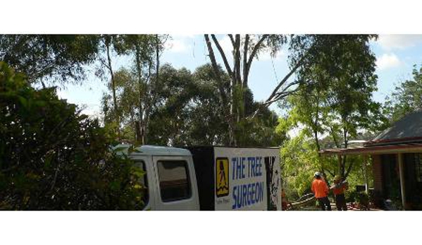 The Tree Surgeon - Spring Creek, NSW