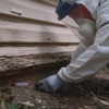 Eliminate 'Em Pest Control Services gallery