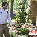 Adams Exterminating - Termite Control